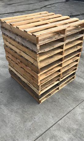 Export Pallets