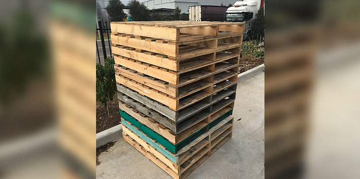 Medium Standard Pallet Big