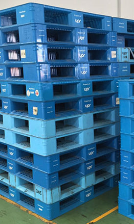 Plastic Pallets